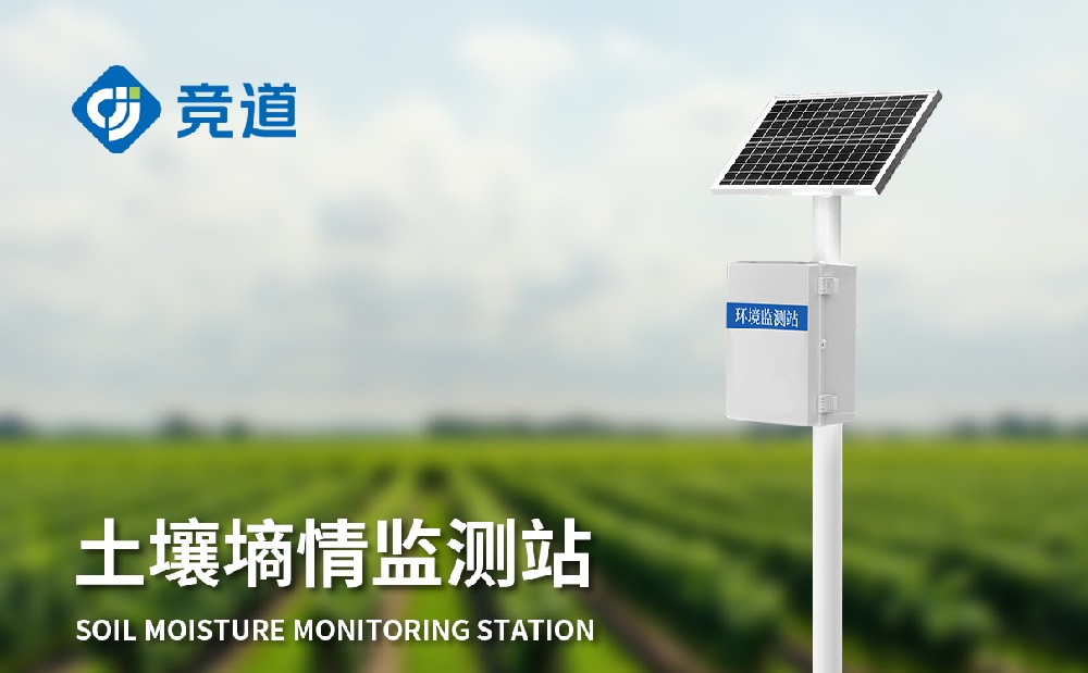 ���������Զ����վ����Ҫ�ص�����