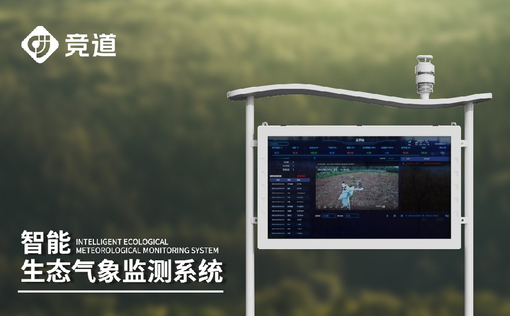 �������Ӽ��վ���ն���������������