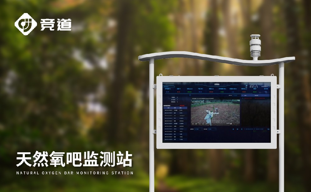 �������Ӽ��ϵͳ������Ȼ����