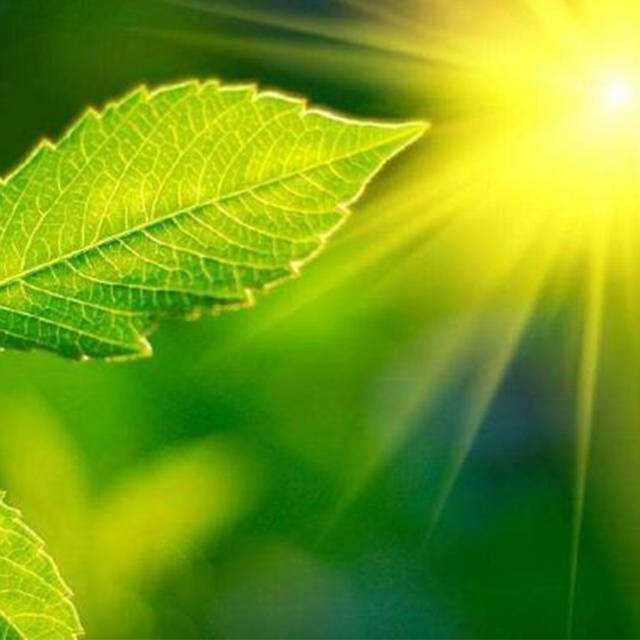 ������ʺ���������֮��Ĺ�ϵ