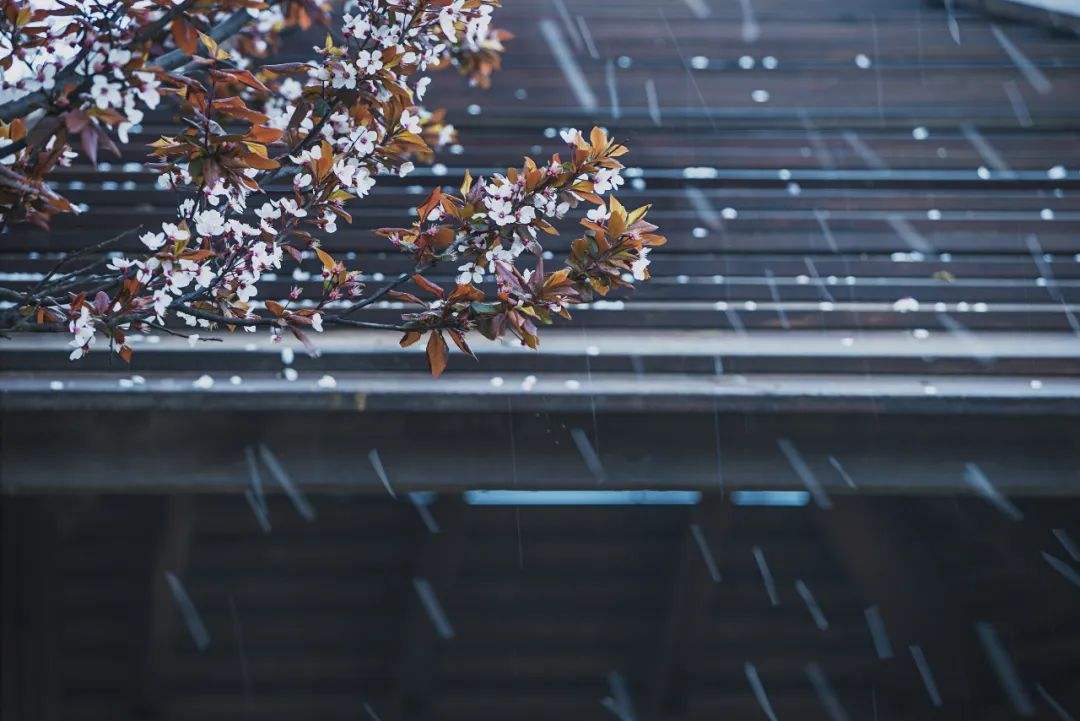 �Զ�����վ����