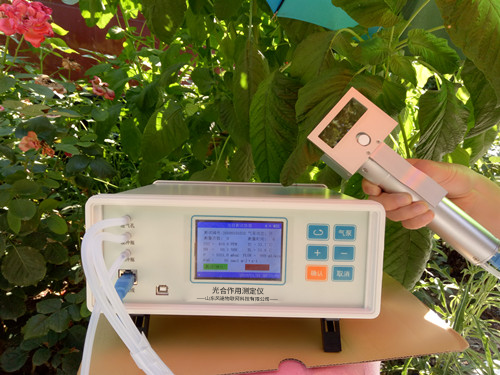 ֲ��������