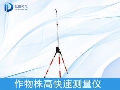 �������������ʲô��������������������������������