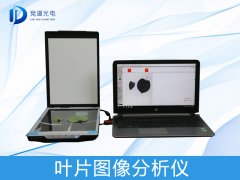 ҶƬͼ��������������������������