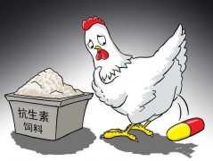 ʳ�￹���ز����������������������⣿��������������