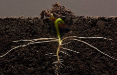 ΪʲôҪ���������л��ʼ�⣿��������������