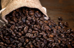 ���Ȳ�������������������������ʳ���徲