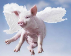 ���������׻������÷��������ļ����������������